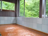 Tengu Onsen Asama Sanso - Kaplıcalı