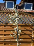 Hotel Sonne - Wifi