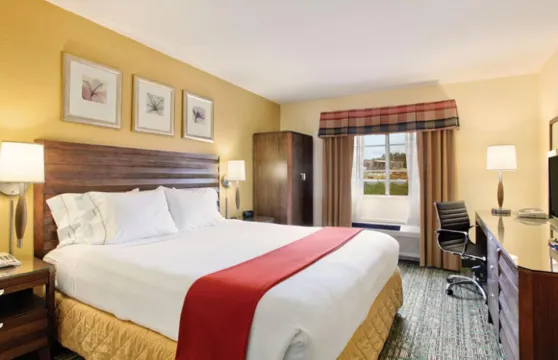 智選假日套房酒店聖地亞哥埃斯孔迪多