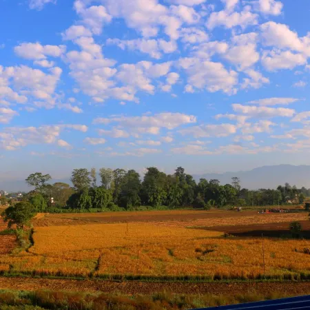 Hotel National Park Sauraha- Homely Stay and Peaceful Location with Jungle Safari Arrangements