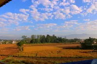 Hotel National Park Sauraha- Homely Stay and Peaceful Location with Jungle Safari Arrangements - con vistas a la montaña