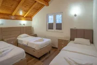 帕夫洛維奇酒店 酒店