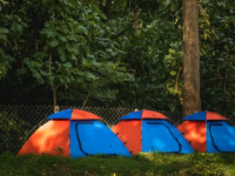 Dandeli Whistle ダンデリのホテル