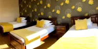 Hotel Pitrufquén - 经典三重房间