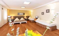 Der Winzerhof Hotels in Gramatneusiedl