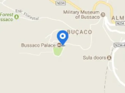 Palace Hotel do Bussaco Hotels in Luso