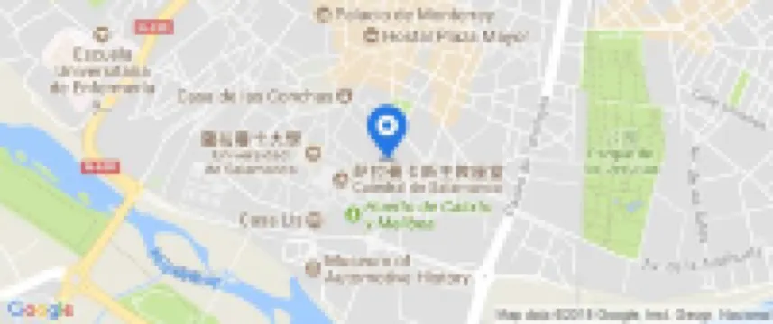 NH Collection Salamanca Palacio de Castellanos Hotels in Salamanca