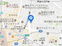 Via Inn Shinjuku Hotels near Statistical Museum