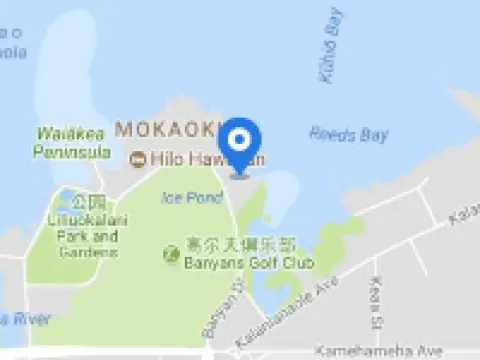 ヒロ リーズ ベイ ホテル ヒロのホテル