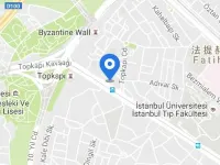 Holiday Inn ISTANBUL CITY by IHG Hotels near Topkapi