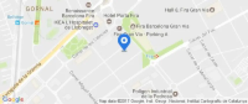 Alexandre Fira Congress