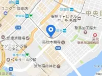 VIA INN HIGASHIGINZA JR-West Group Hotels near Steps Gallery