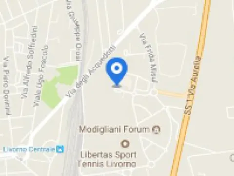 Max Hotel Livorno Hotels in Livorno