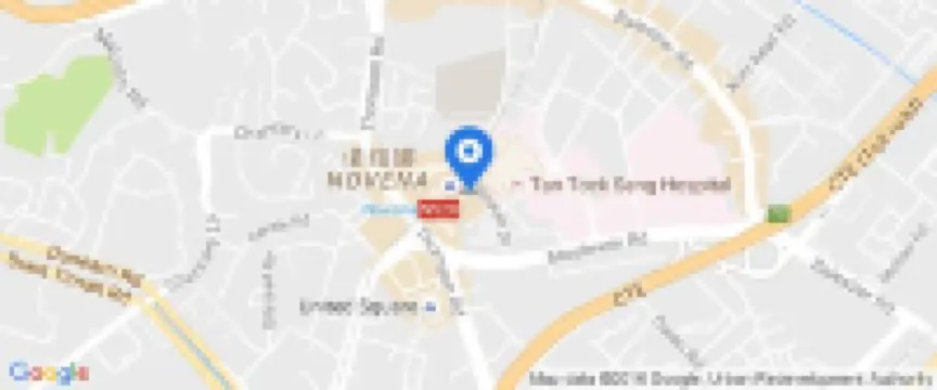 新加坡豪亞酒店 - 遠東集團