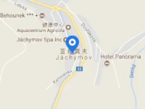 Hotel Radium Palace Hotels in Karlovy Vary District