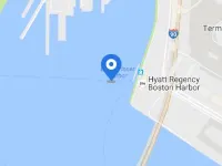 Hyatt Regency Boston Harbor Hotels in Boston