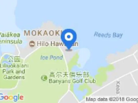 ヒロ リーズ ベイ ホテル ヒロのホテル