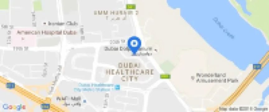 Hyatt Regency Dubai Creek Heights