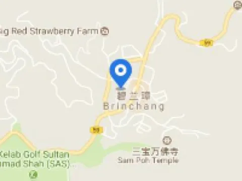 ホテル ローザ パサデーナ ビンチャンのホテル