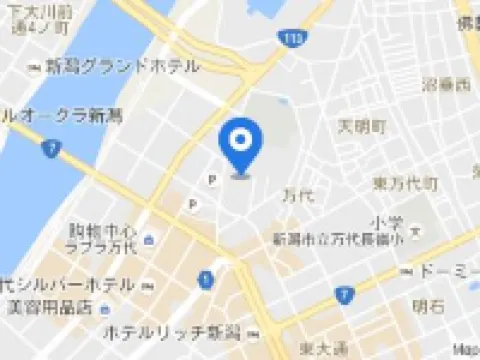 ANA Crowne Plaza NIIGATA by IHG Hotels in Niigata City