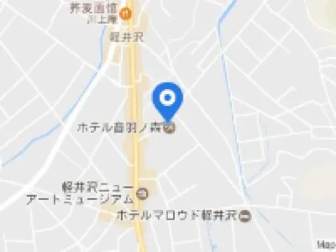 Kyu Karuizawa Hotel Otowa No Mori Hotels in Karuizawa