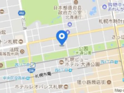 Odysis Sapporo Odori Koen Hotel Hotels in Sapporo