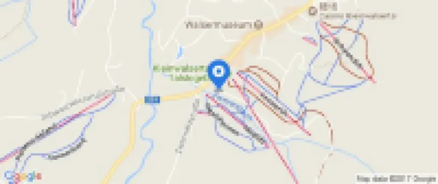 Ski- Und Aktivhotel Almhof Rupp Hotels in Mittelberg