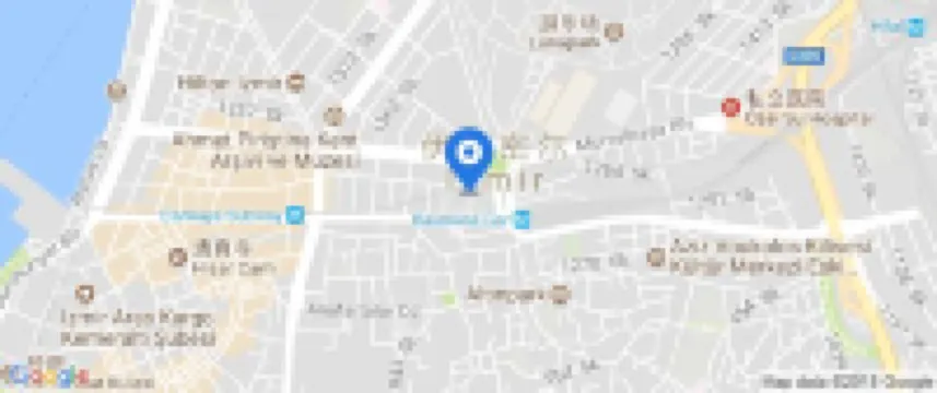 The New Hotel Zeybek