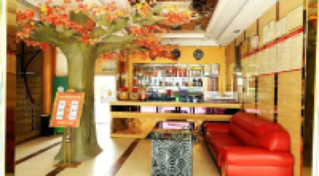 Xuanhan Zijin Homestay