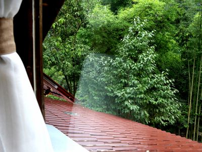 Qing Dynasty House
