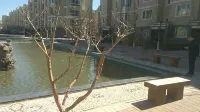 Chaoyang Sijia Apartment