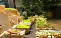 Guichao Theme Hotel Hotels in Songtao