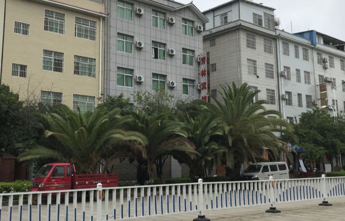 Binchuan Fanglin Hotel