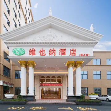 Vienna Hotel (Luzhou Ruijin Jindu Avenue)