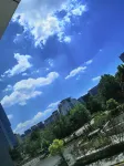 Boman Art Garden Hotel (Qilu Software Park Subway Station Branch) - 4-نجوم