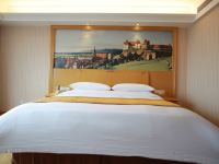 维也纳酒店(襄阳钻石大道店) - 标准大床房