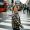 Zebra_Crossing
