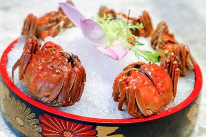 Cai Feng Lou Chinese Restaurant