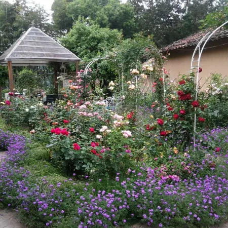 Suichang Yuming Mountain Homestay