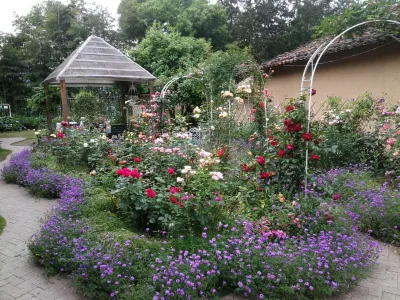 Suichang Yuming Mountain Homestay