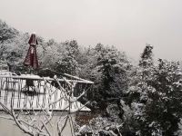 宜兴野风艺栈 - 山景阳台大床套房