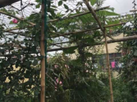 汕尾暖洋远诗客栈 - 其他