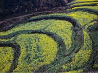 婺源祥和客栈 - 精致温馨大床房