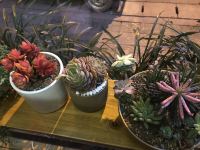 崇州浅草客栈 - 精致标准间