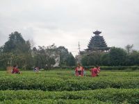 恩施茶花山居客栈 - 民宿大床房