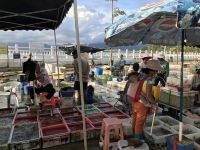 深圳水猿民宿上横岗店 - 六室一厅套房