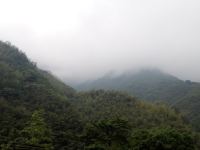 安吉丁一农庄 - 标准间