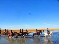 达茂旗希拉穆仁草原旅游度假中心 - 豪华三联套蒙古包