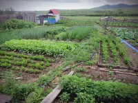 Yu Xiaoyan Travel Home Guesthouse Hotels in Linjiang Village