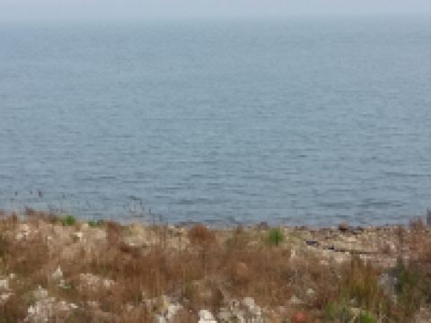 乐亭曹女士公寓(2号店)